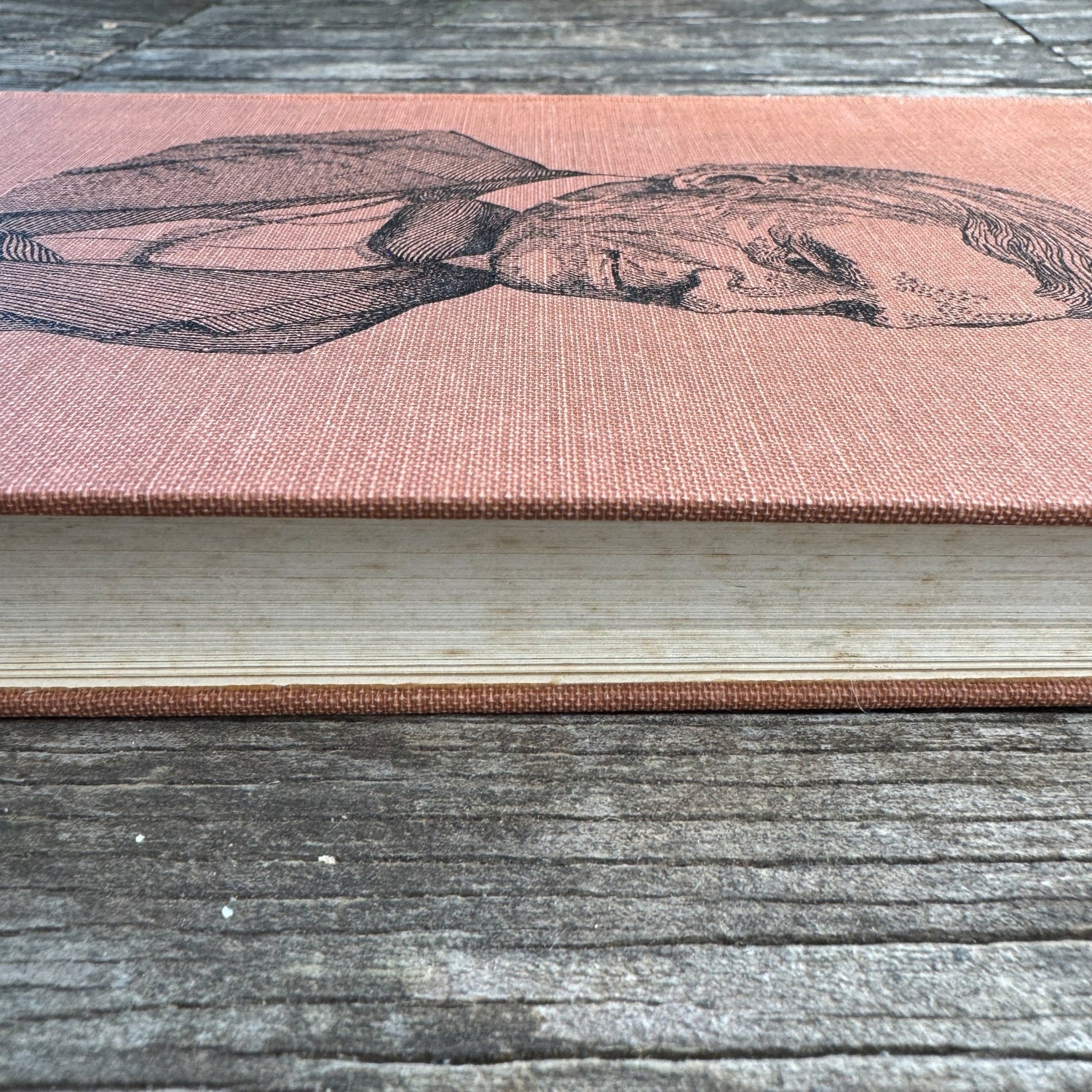 Trust Thyself: A Life of Ralph Waldo Emerson for Young People - Pretty Old Books
