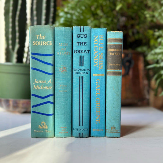 Turquoise Blue Shabby Vintage Mid Century Books for Shelf Styling - Pretty Old Books