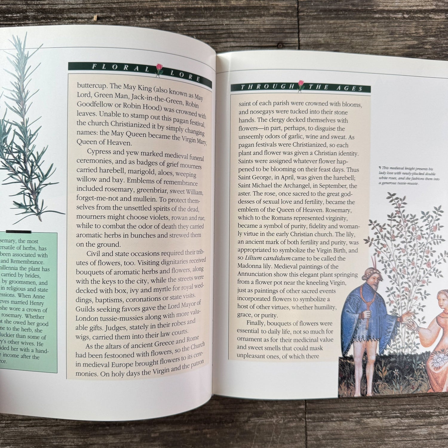 Tussie - Mussies: The Victorian Art of Expressing Yourself in the Language of Flowers, Signed, 1993 - Pretty Old Books