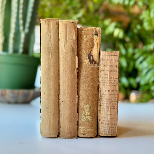 Unbound and Distressed Books, Books By Color, Shabby Chic Book Bundle - Pretty Old Books