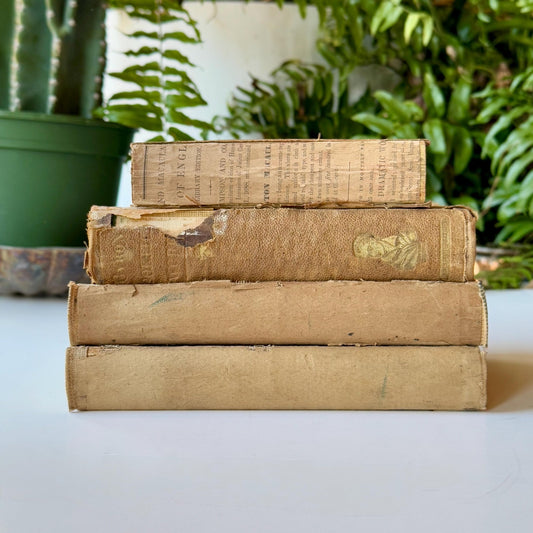 Unbound and Distressed Books, Books By Color, Shabby Chic Book Bundle - Pretty Old Books