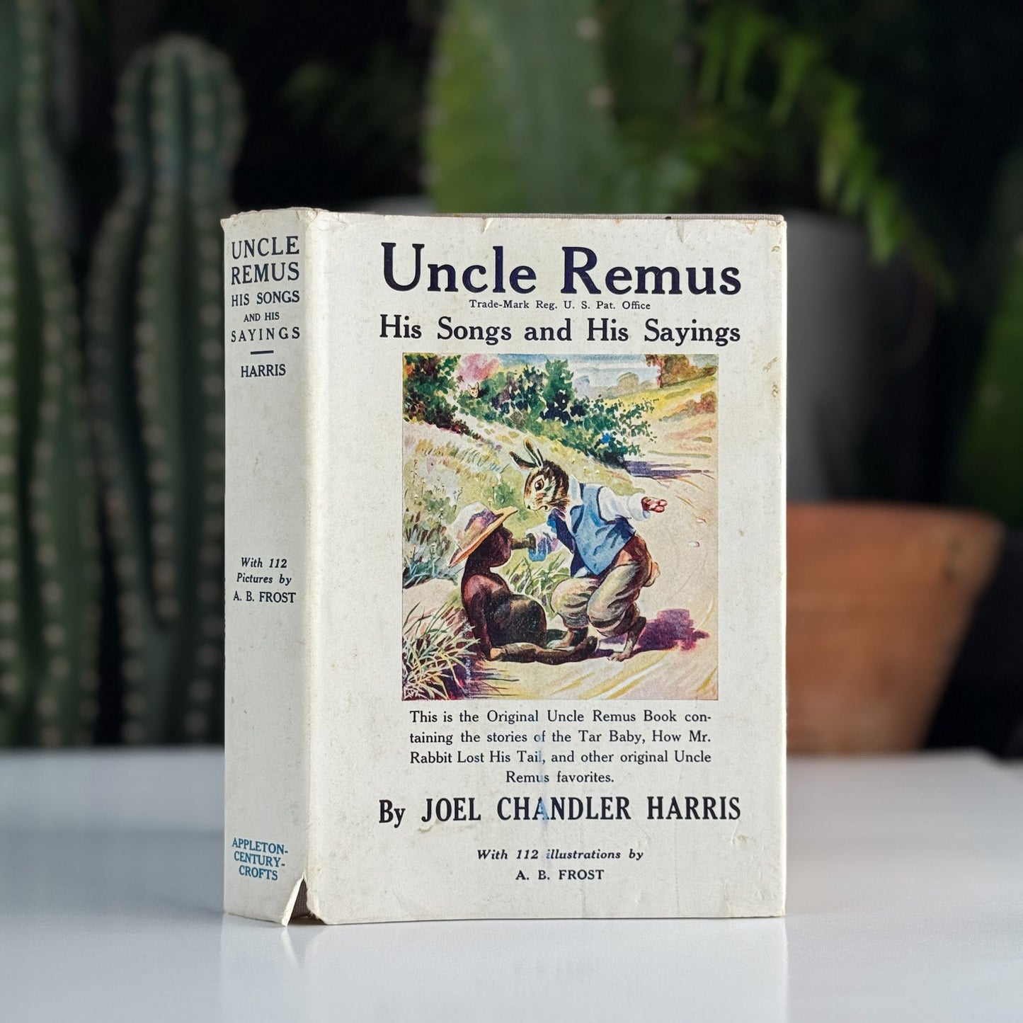Uncle Remus: His Songs and His Sayings, Joel Chandler Harris, 1921 Appleton century Crofts - Pretty Old Books