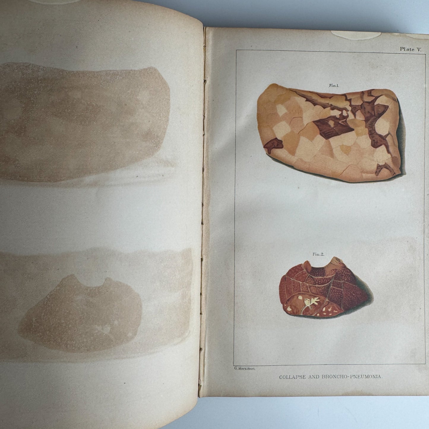 U.S. Department of Agriculture Bureau of Animal Industry Reports, 1887–1888, 1889 Hardcover - Pretty Old Books