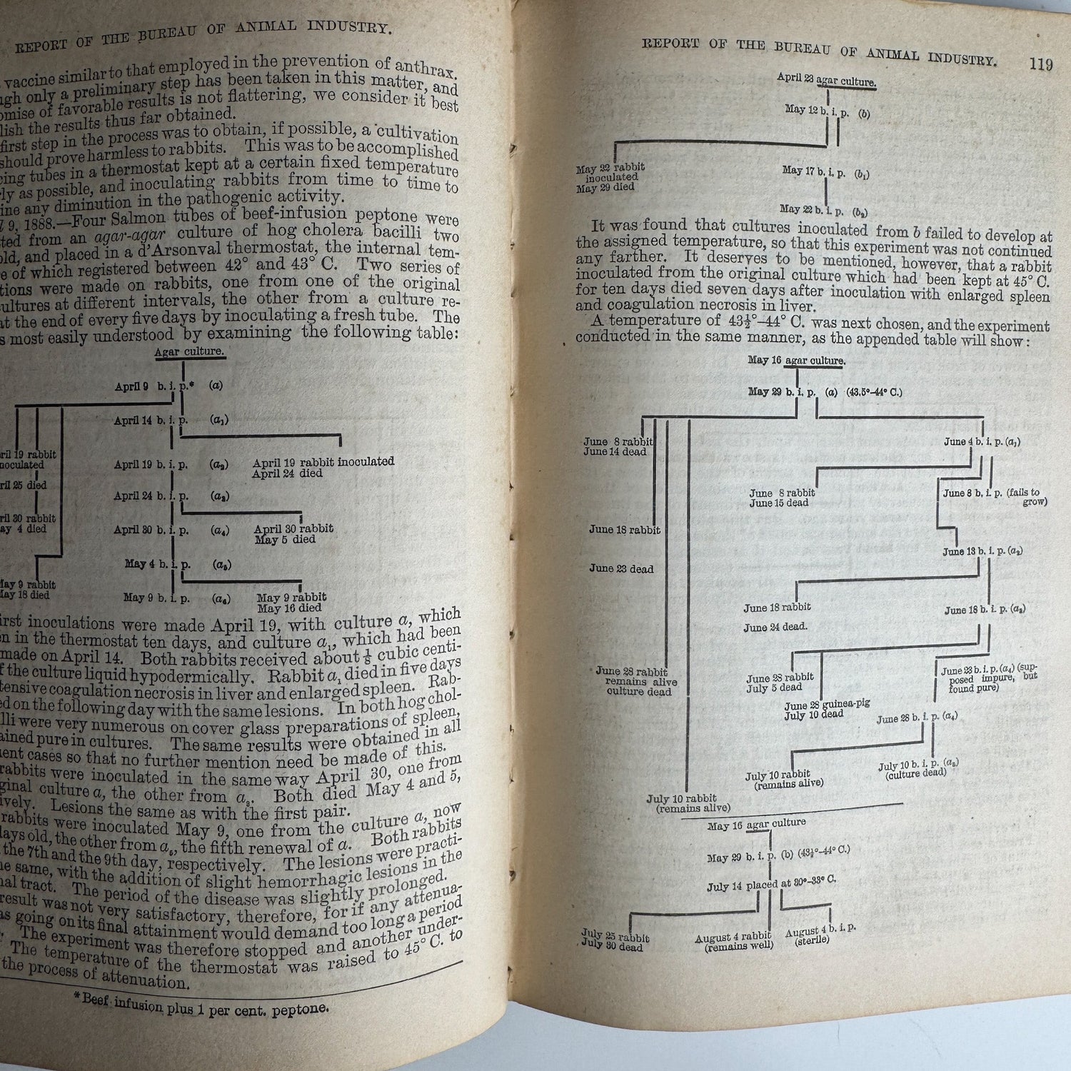 U.S. Department of Agriculture Bureau of Animal Industry Reports, 1887–1888, 1889 Hardcover - Pretty Old Books