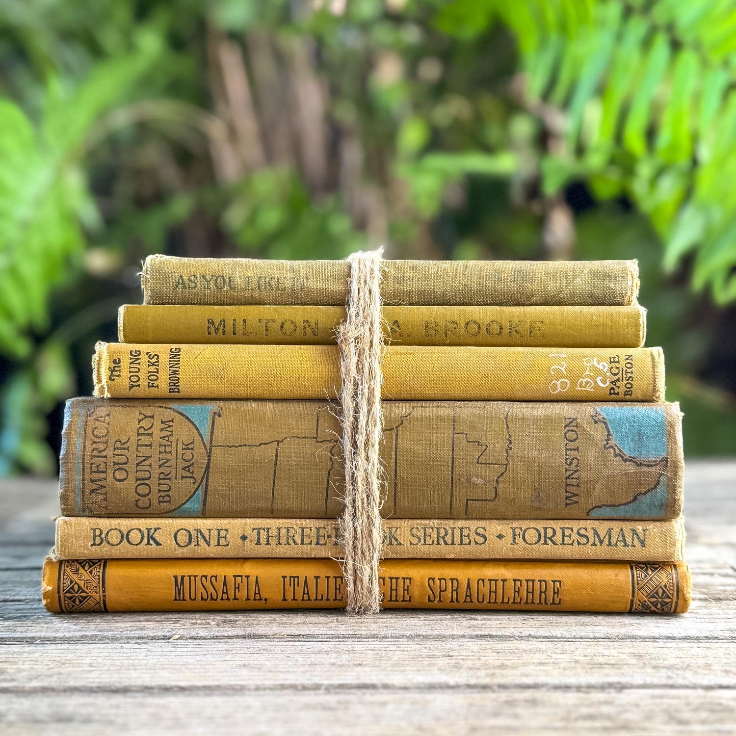 Vintage and Antique Mustard Yellow School Book Bundle - Pretty Old Books