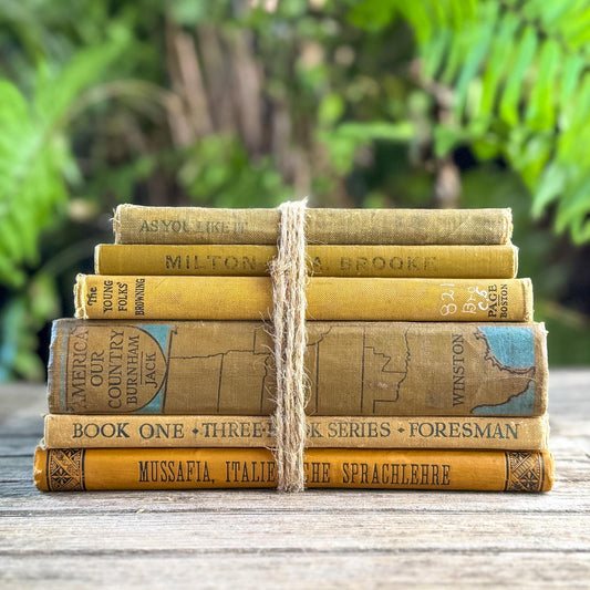 Vintage and Antique Mustard Yellow School Book Bundle - Pretty Old Books