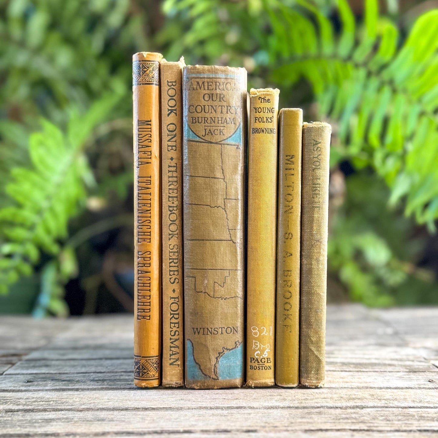 Vintage and Antique Mustard Yellow School Book Bundle - Pretty Old Books