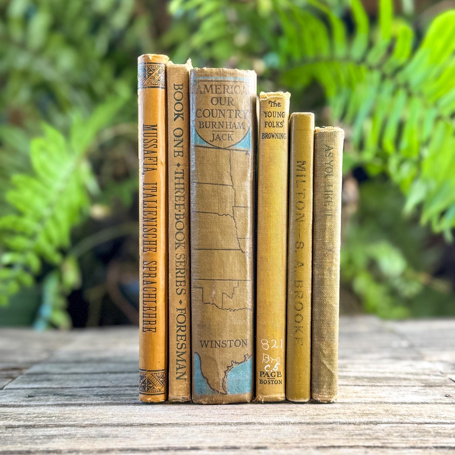 Vintage and Antique Mustard Yellow School Book Bundle - Pretty Old Books