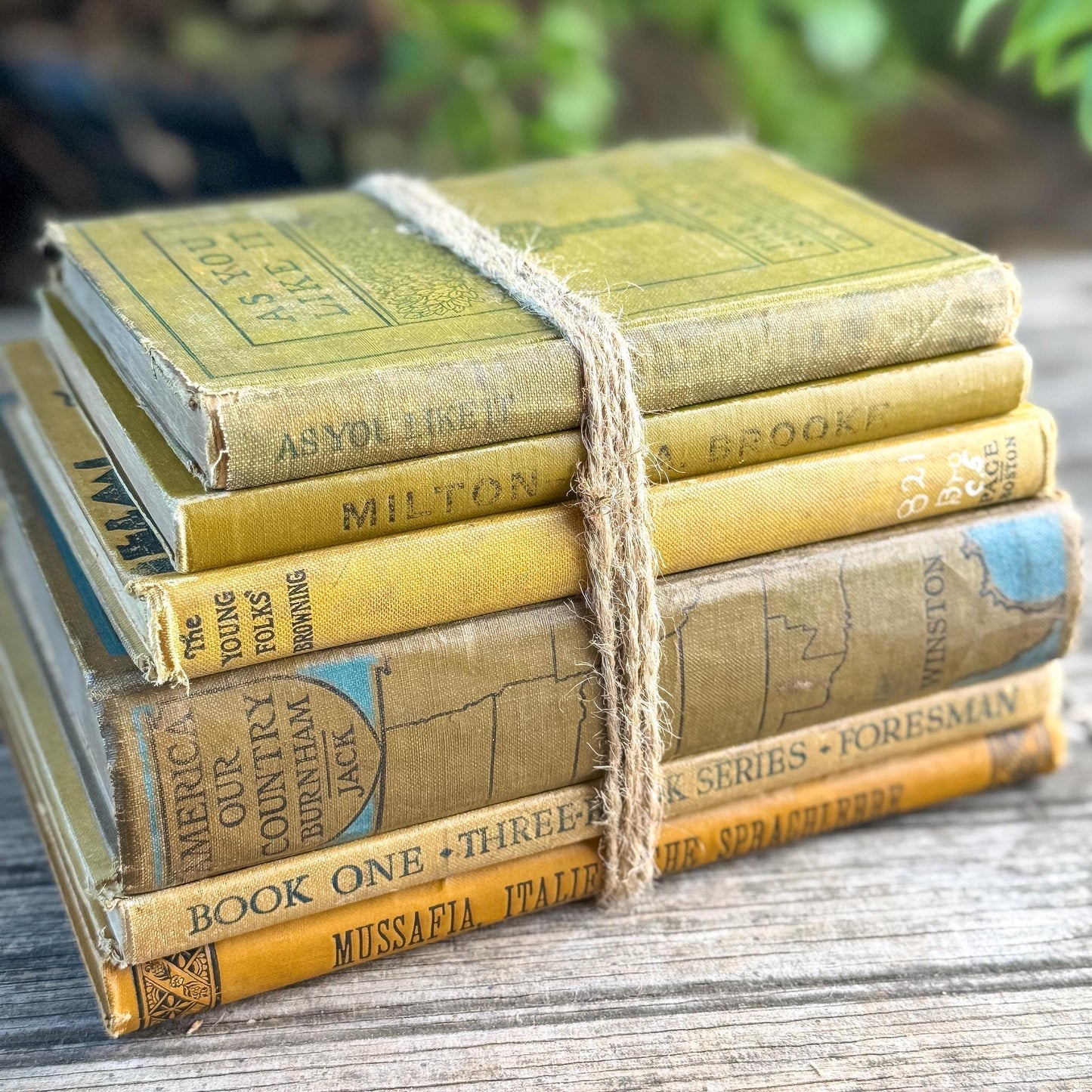 Vintage and Antique Mustard Yellow School Book Bundle - Pretty Old Books