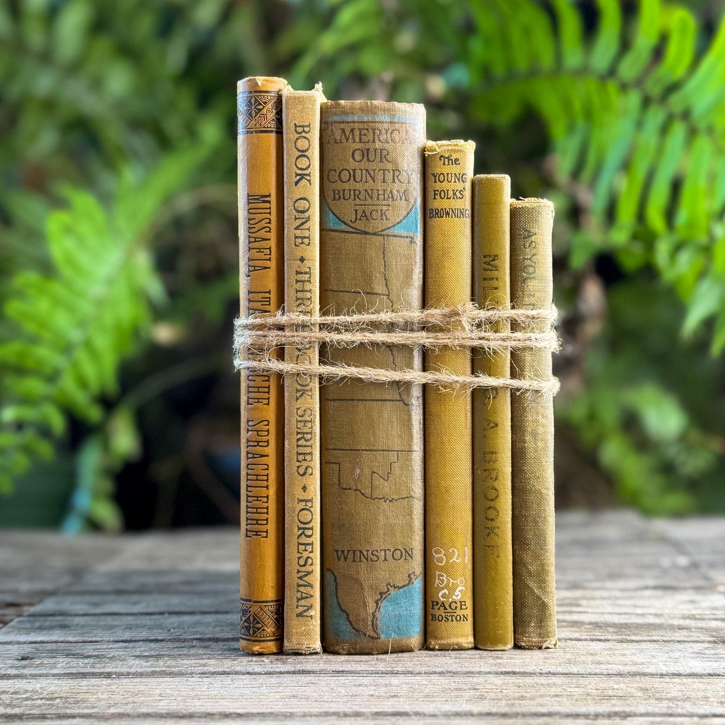 Vintage and Antique Mustard Yellow School Book Bundle - Pretty Old Books