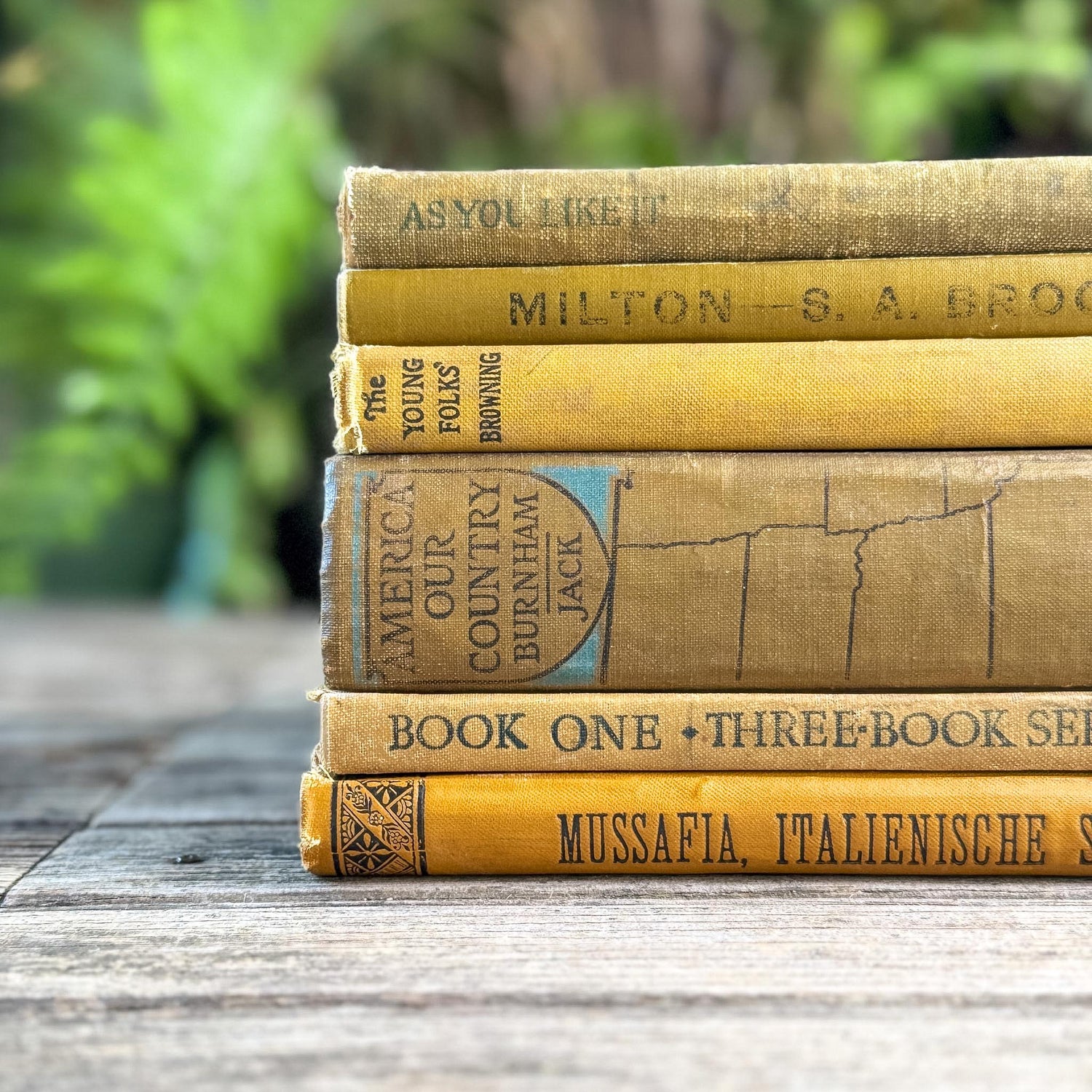 Vintage and Antique Mustard Yellow School Book Bundle - Pretty Old Books