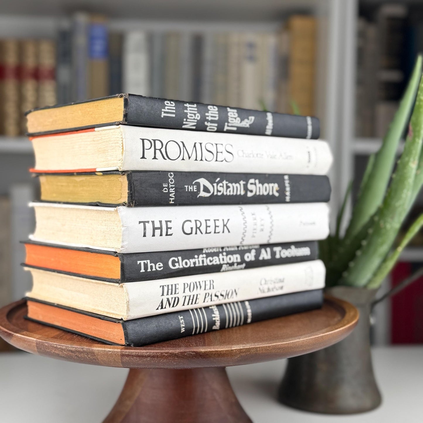 Vintage Black and White Book Set, Bookshelf Decor, Aesthetic Books for Bookshelf Decor - Pretty Old Books