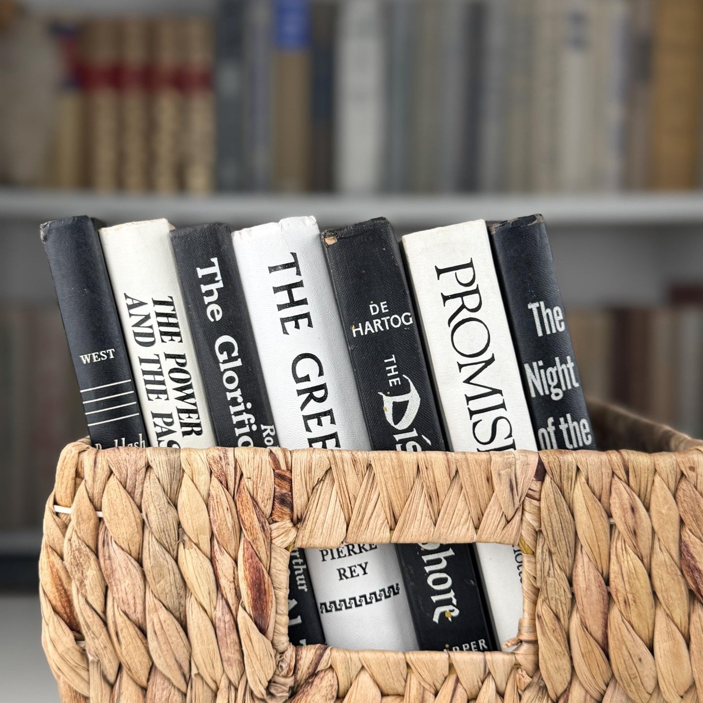 Vintage Black and White Book Set, Bookshelf Decor, Aesthetic Books for Bookshelf Decor - Pretty Old Books