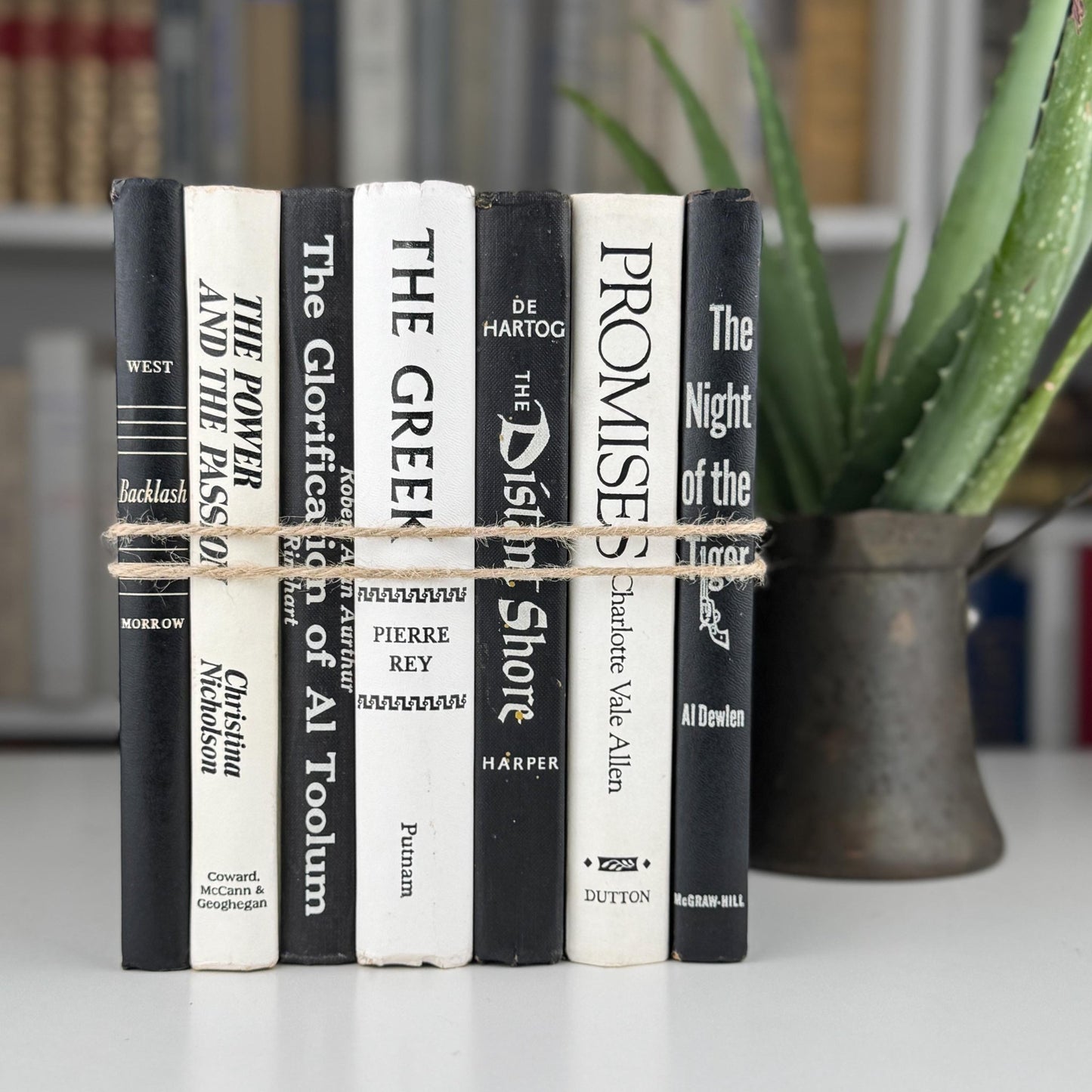 Vintage Black and White Book Set, Bookshelf Decor, Aesthetic Books for Bookshelf Decor - Pretty Old Books