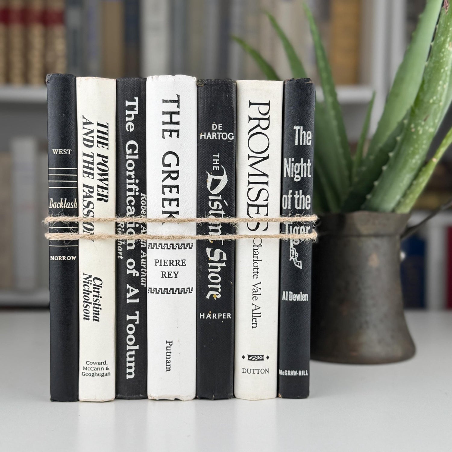 Vintage Black and White Book Set, Bookshelf Decor, Aesthetic Books for Bookshelf Decor - Pretty Old Books