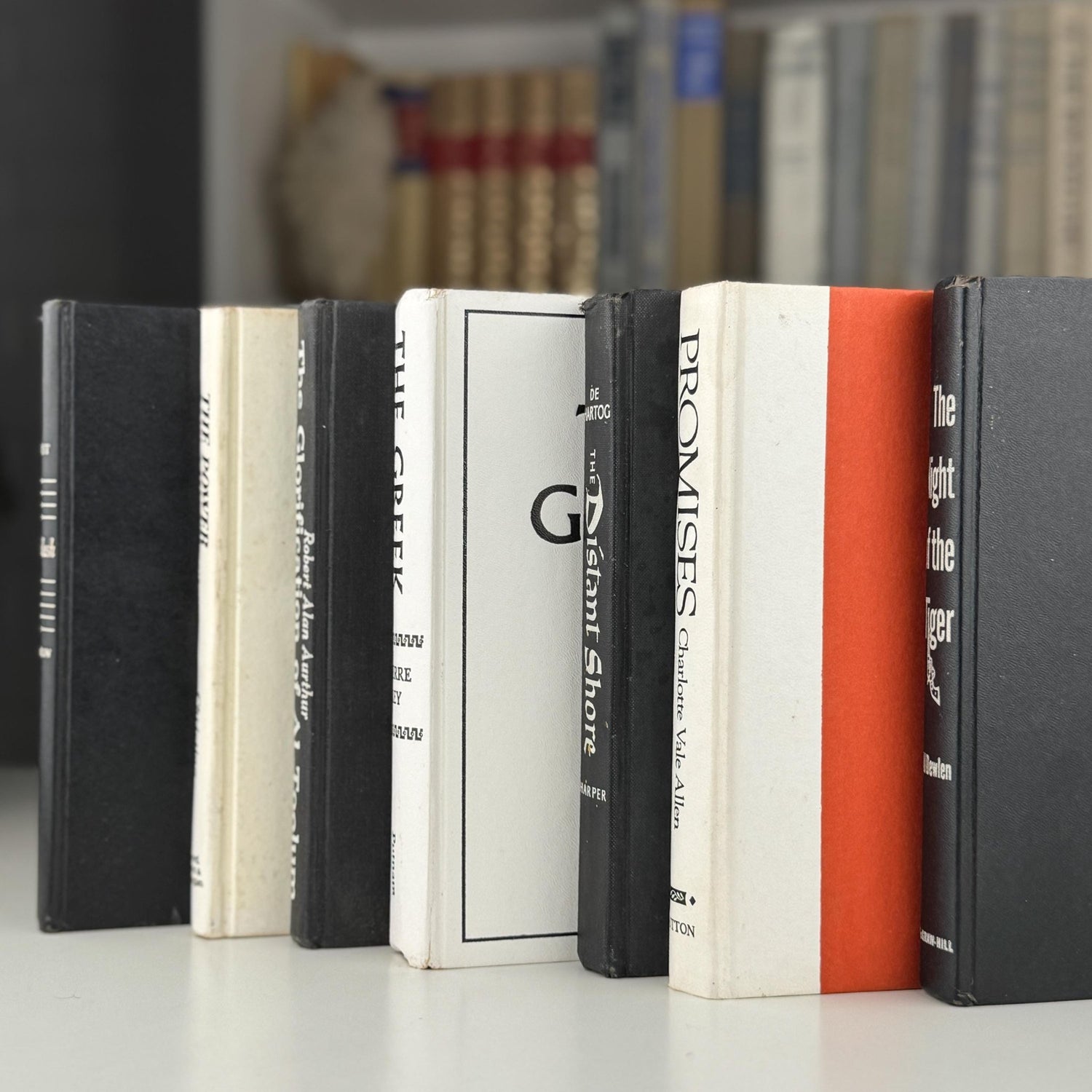 Vintage Black and White Book Set, Bookshelf Decor, Aesthetic Books for Bookshelf Decor - Pretty Old Books