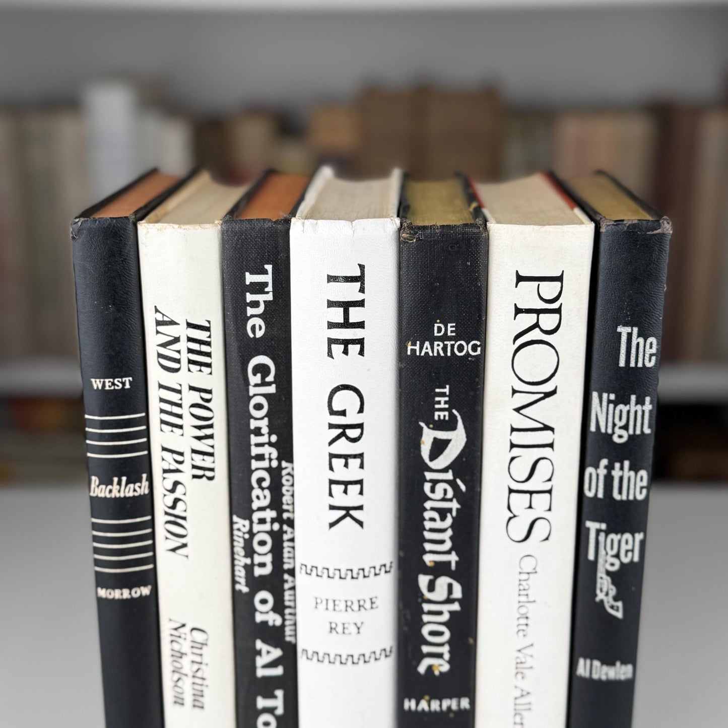 Vintage Black and White Book Set, Bookshelf Decor, Aesthetic Books for Bookshelf Decor - Pretty Old Books
