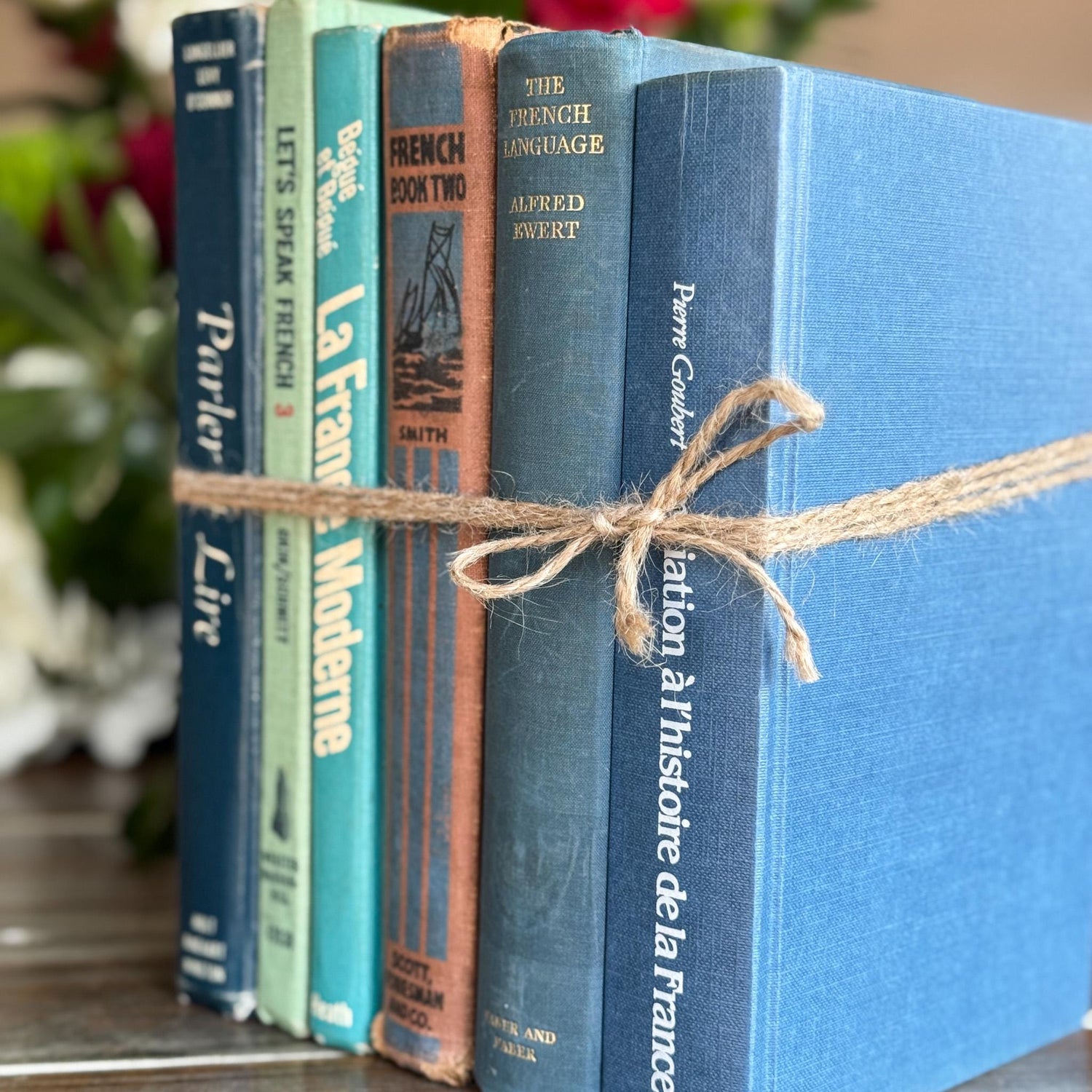 Vintage Blue and Green French Language School Book Bundle - Pretty Old Books