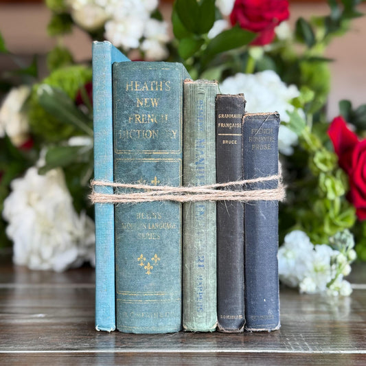 Vintage Blue and Green French Language Shabby Book Bundle - Pretty Old Books