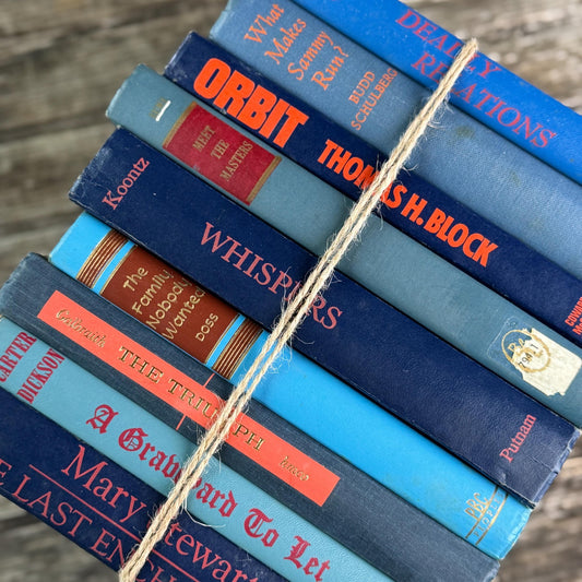 Vintage Blue and Red Book Bundle For Decor, Mid - Century Handmade Decor - Pretty Old Books