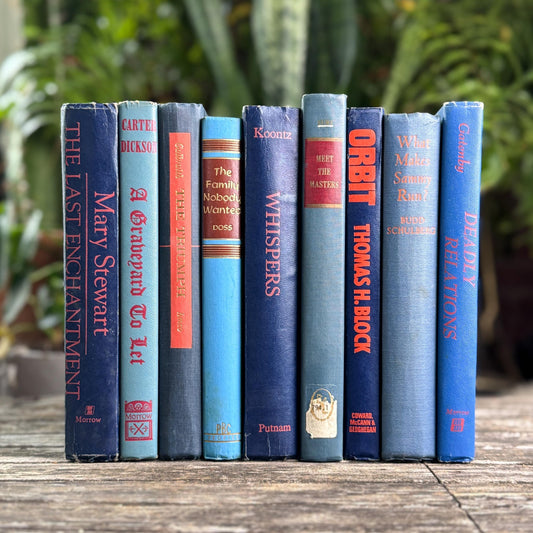Vintage Blue and Red Book Bundle For Decor, Mid - Century Handmade Decor - Pretty Old Books