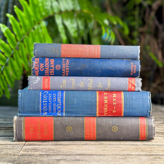 Vintage Blue and Red Book Bundle for Masculine Shabby Decor - Pretty Old Books