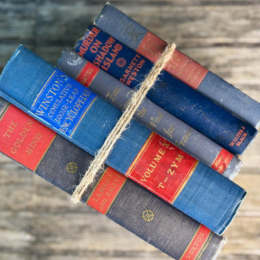 Vintage Blue and Red Book Bundle for Masculine Shabby Decor - Pretty Old Books