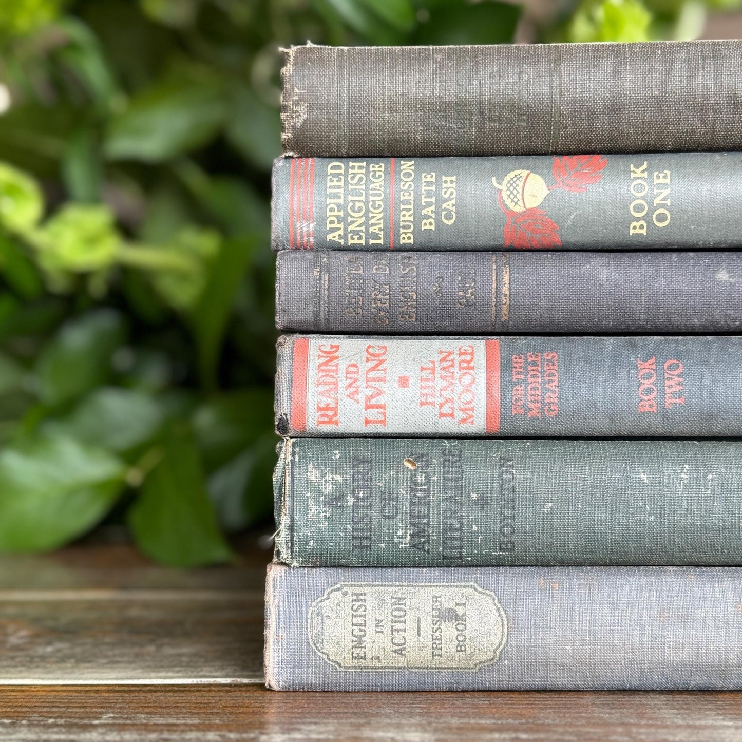 Vintage Blue English Literature Textbook Set for Dark Academia Shelf Styling - Pretty Old Books