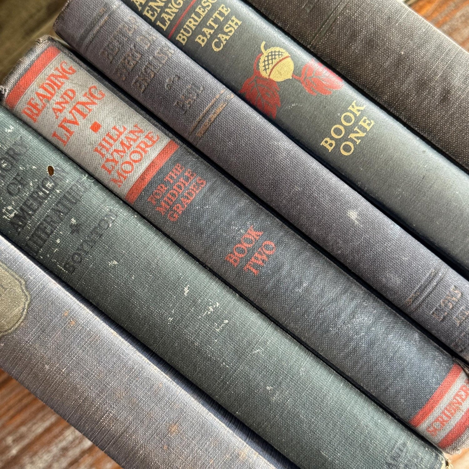 Vintage Blue English Literature Textbook Set for Dark Academia Shelf Styling - Pretty Old Books