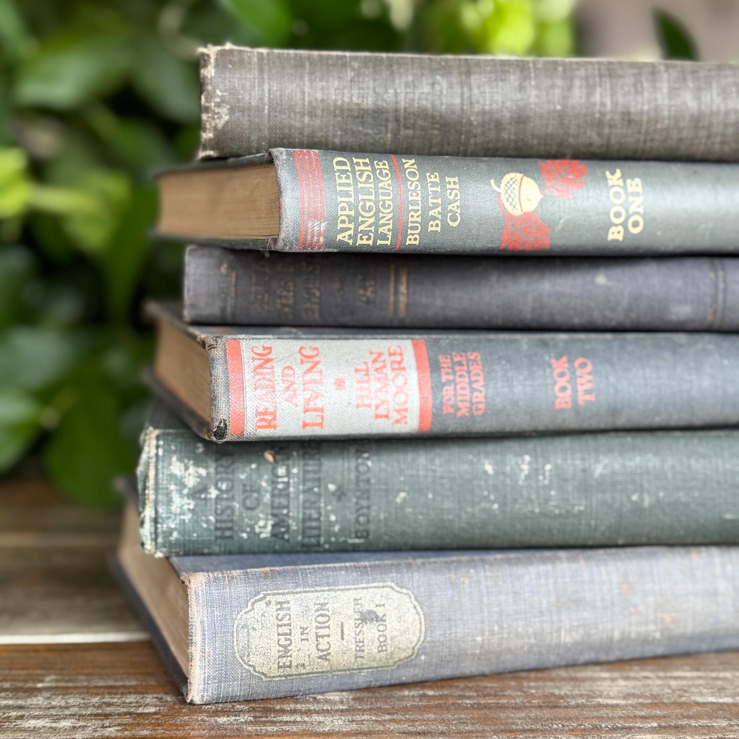 Vintage Blue English Literature Textbook Set for Dark Academia Shelf Styling - Pretty Old Books