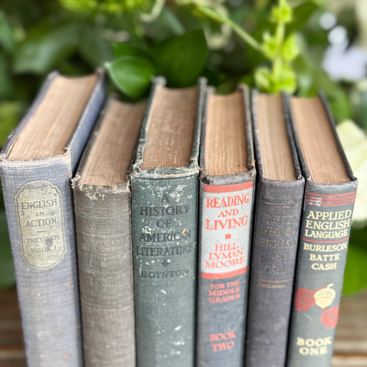 Vintage Blue English Literature Textbook Set for Dark Academia Shelf Styling - Pretty Old Books
