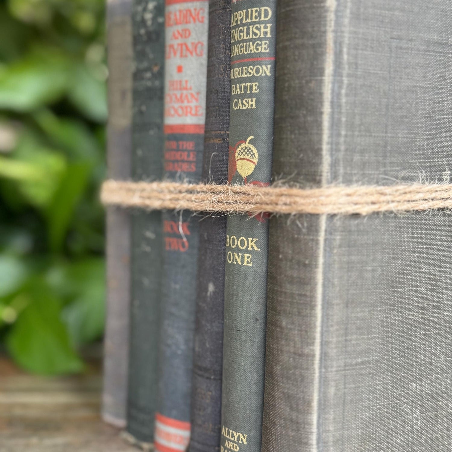 Vintage Blue English Literature Textbook Set for Dark Academia Shelf Styling - Pretty Old Books
