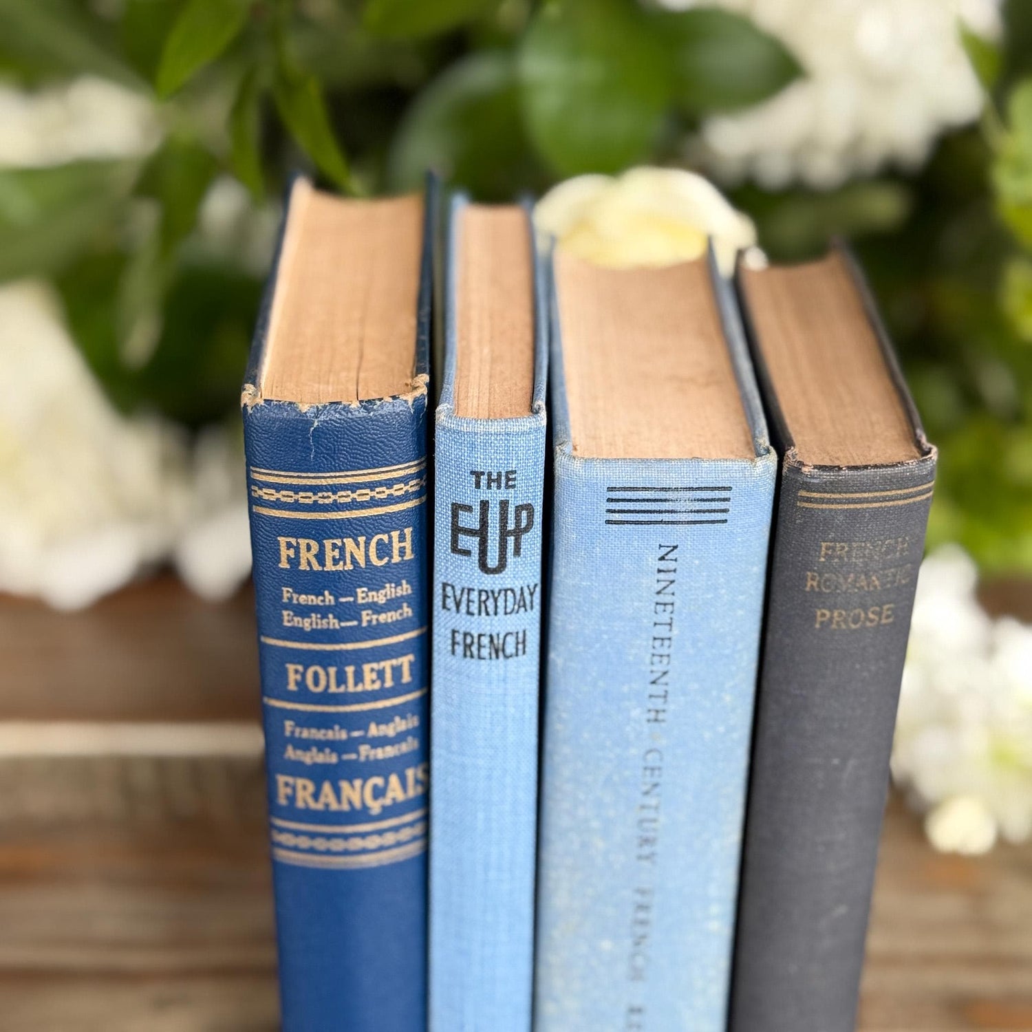 Vintage Blue French Language Small Book Bundle for Decor - Pretty Old Books