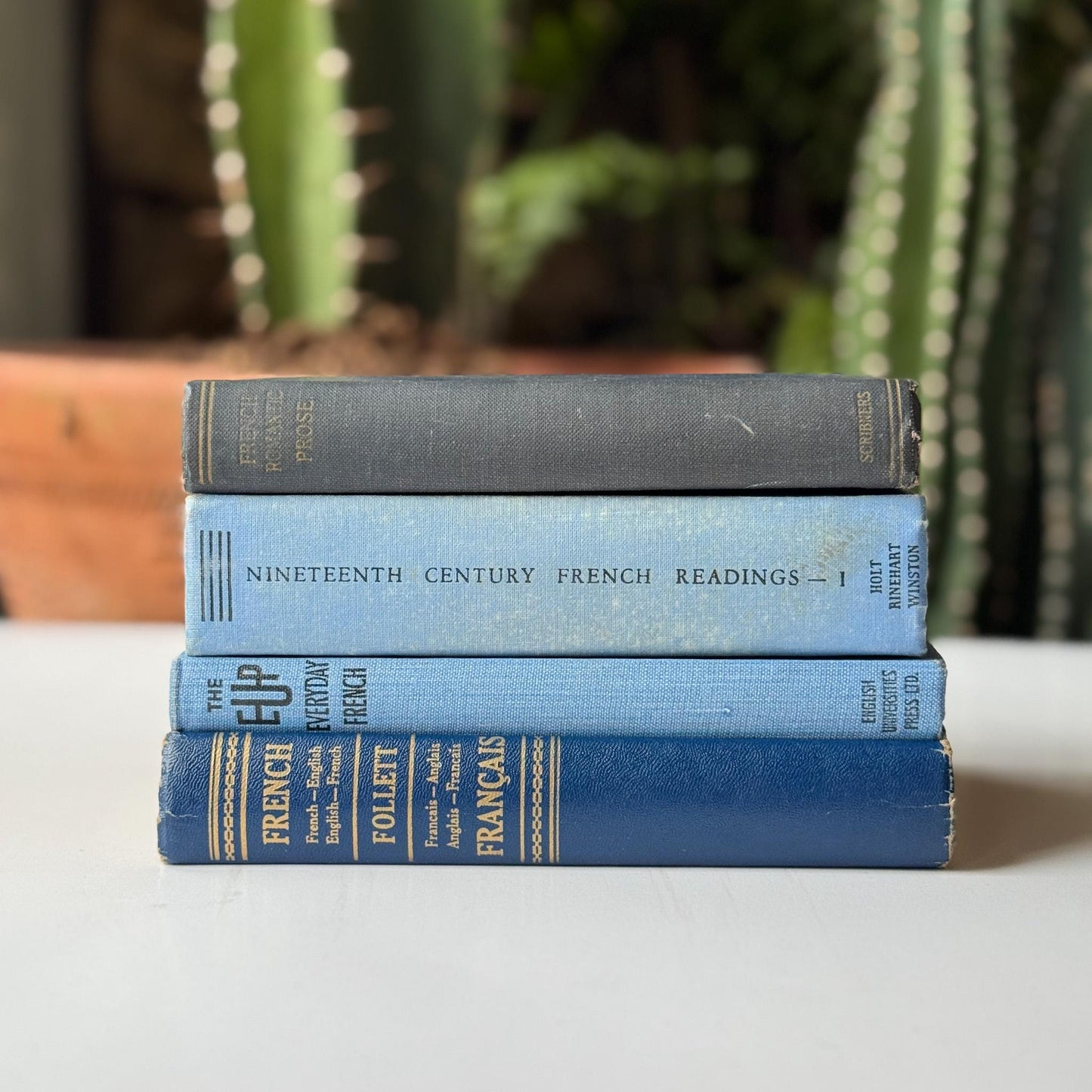 Vintage Blue French Language Small Book Bundle for Decor - Pretty Old Books