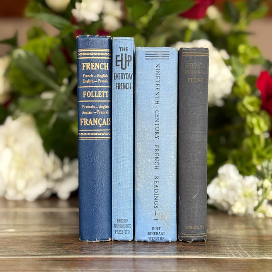 Vintage Blue French Language Small Book Bundle for Decor - Pretty Old Books