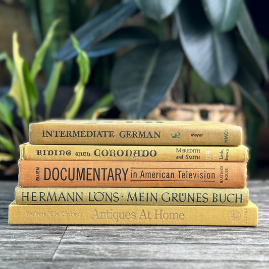 Vintage Book Bundle in Mustard, Golden Yellow & Pale Orange Oversized Hardcovers - Pretty Old Books
