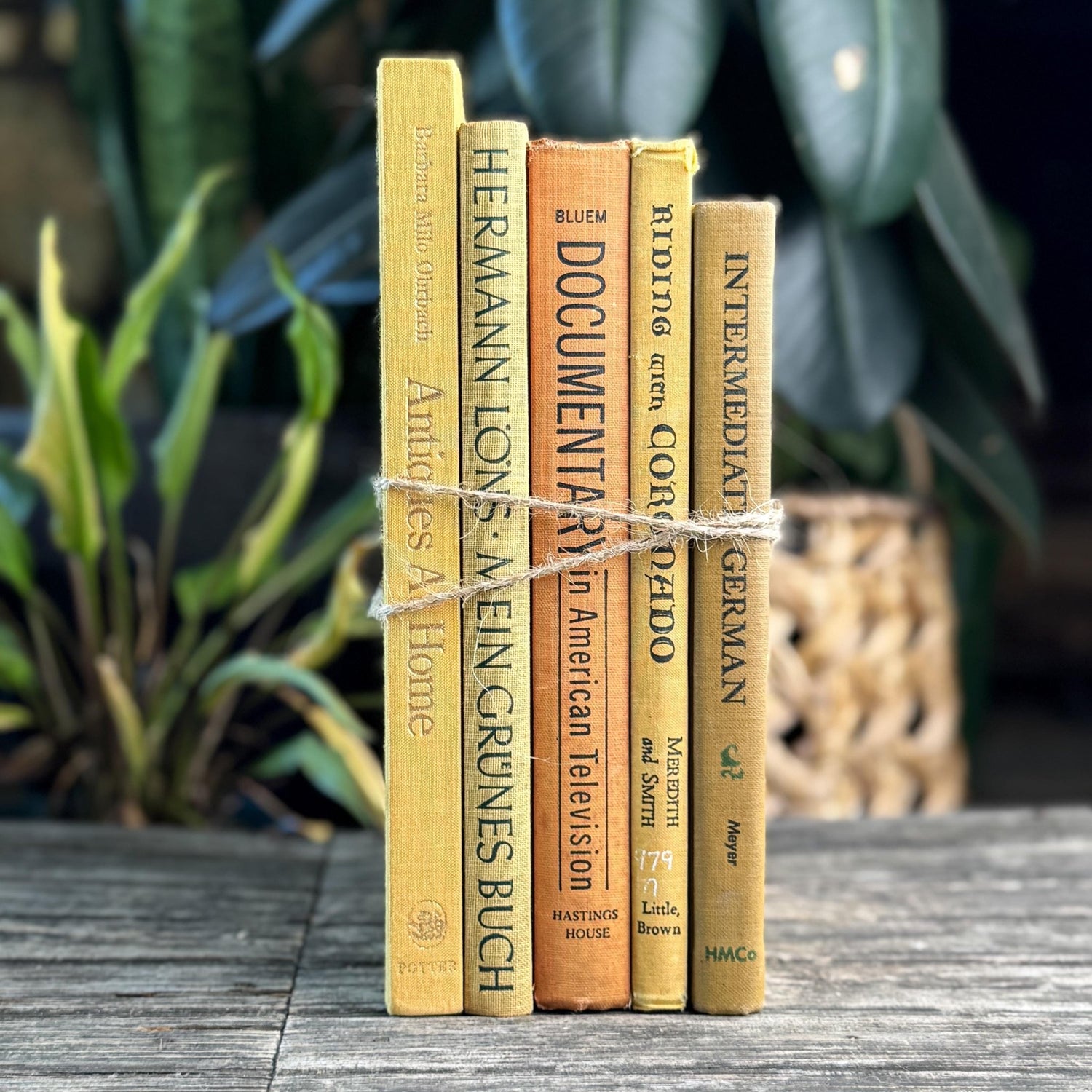 Vintage Book Bundle in Mustard, Golden Yellow & Pale Orange Oversized Hardcovers - Pretty Old Books