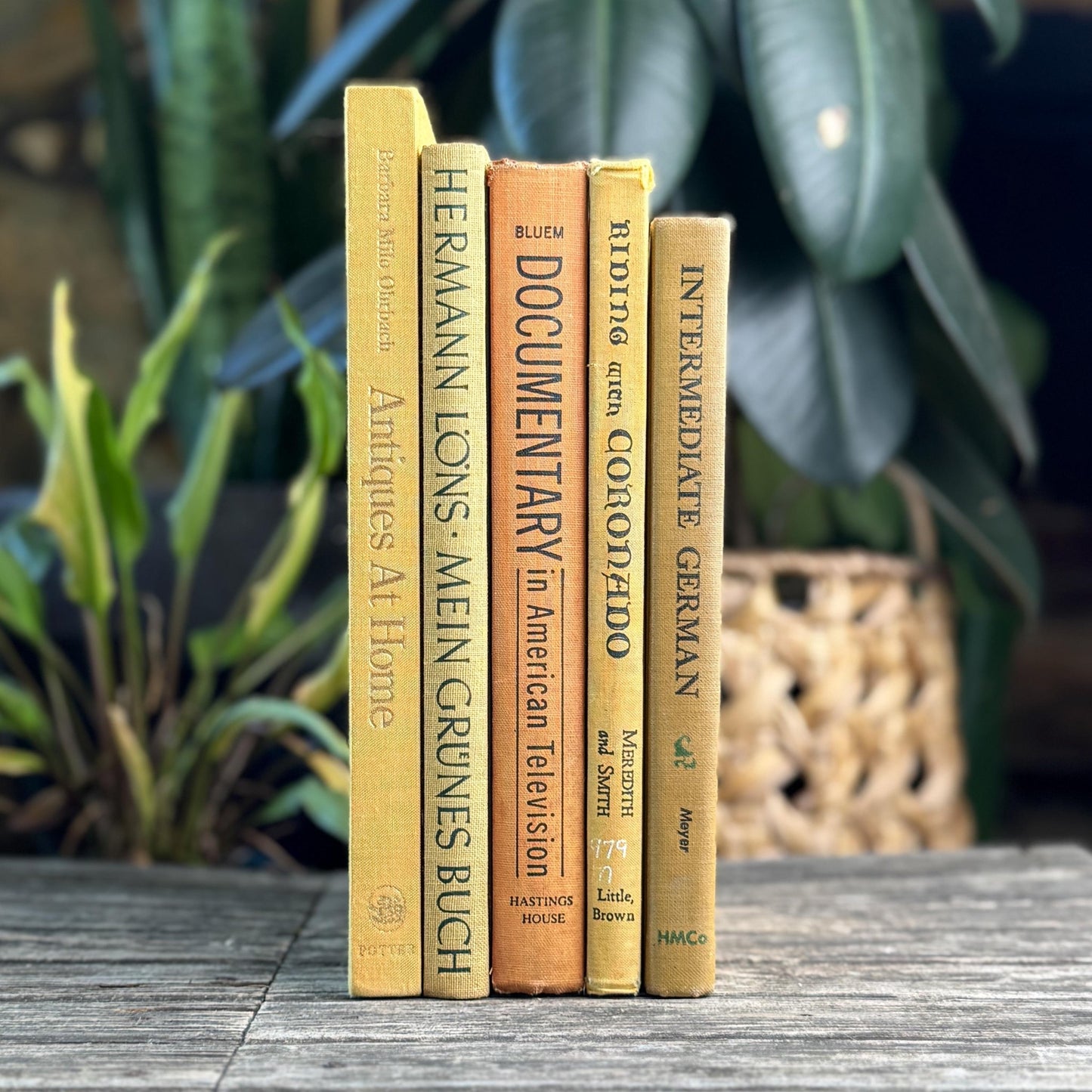 Vintage Book Bundle in Mustard, Golden Yellow & Pale Orange Oversized Hardcovers - Pretty Old Books