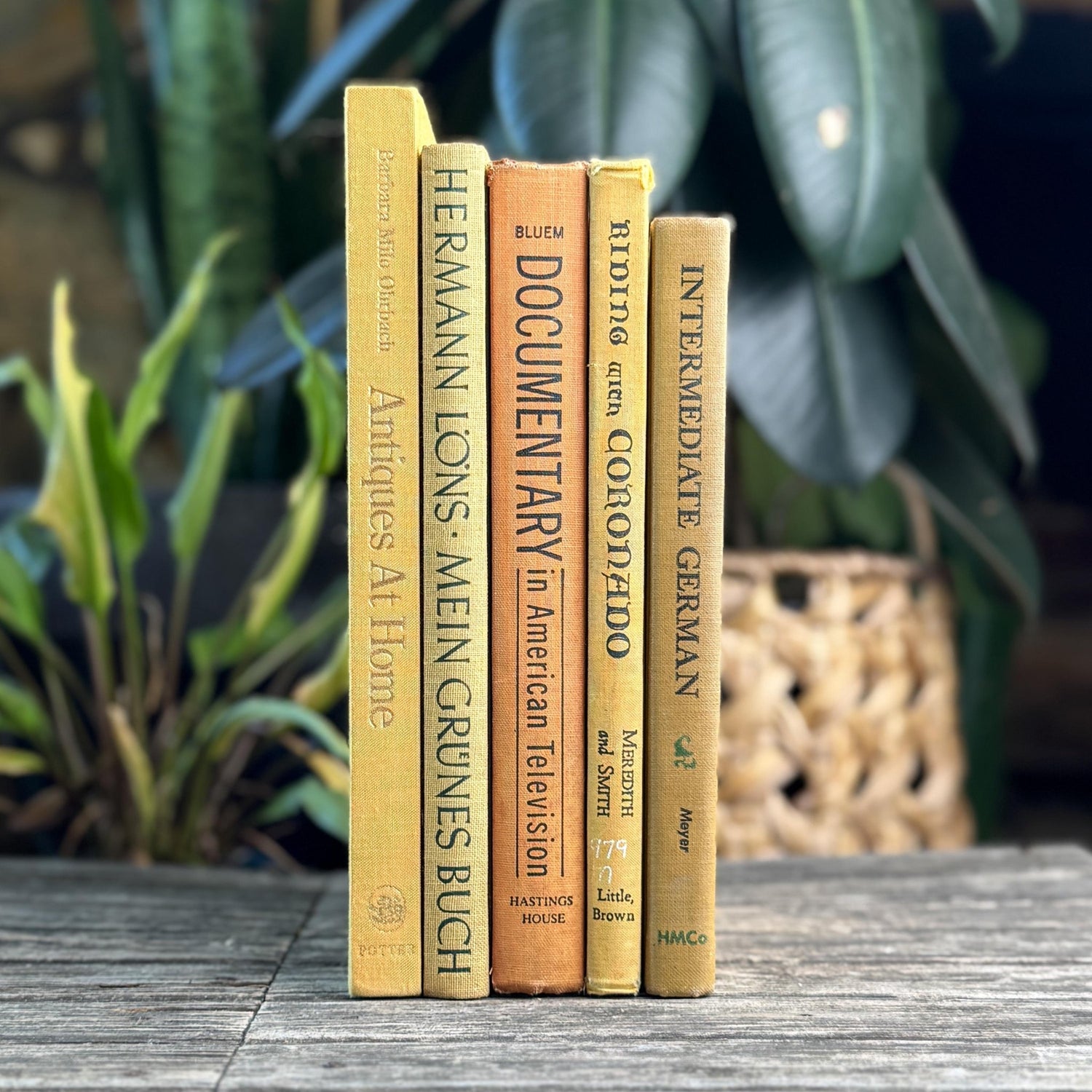 Vintage Book Bundle in Mustard, Golden Yellow & Pale Orange Oversized Hardcovers - Pretty Old Books