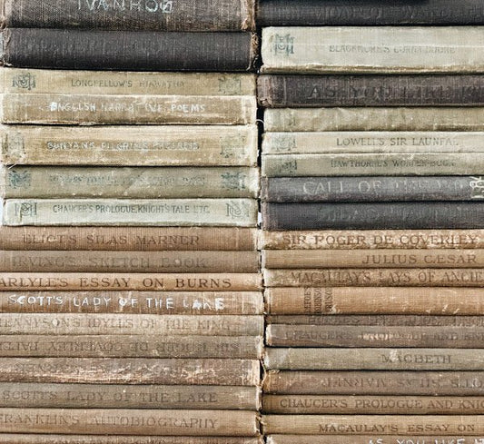Vintage Books By Color: Custom Bookshelf Decor - Pretty Old Books
