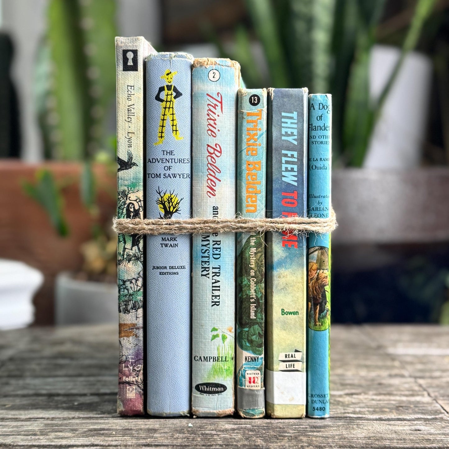 Vintage Children’s Book Set in Blue and Lilac - Pretty Old Books