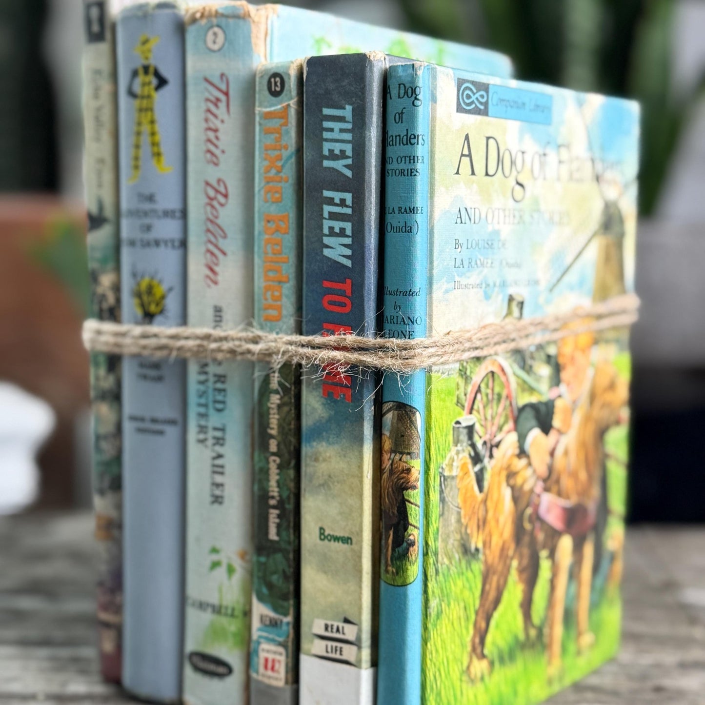 Vintage Children’s Book Set in Blue and Lilac - Pretty Old Books