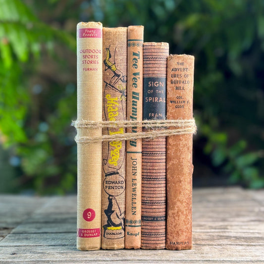 Vintage Children's Book Set in Tan, Rust and Copper, Boys Adventure - Pretty Old Books