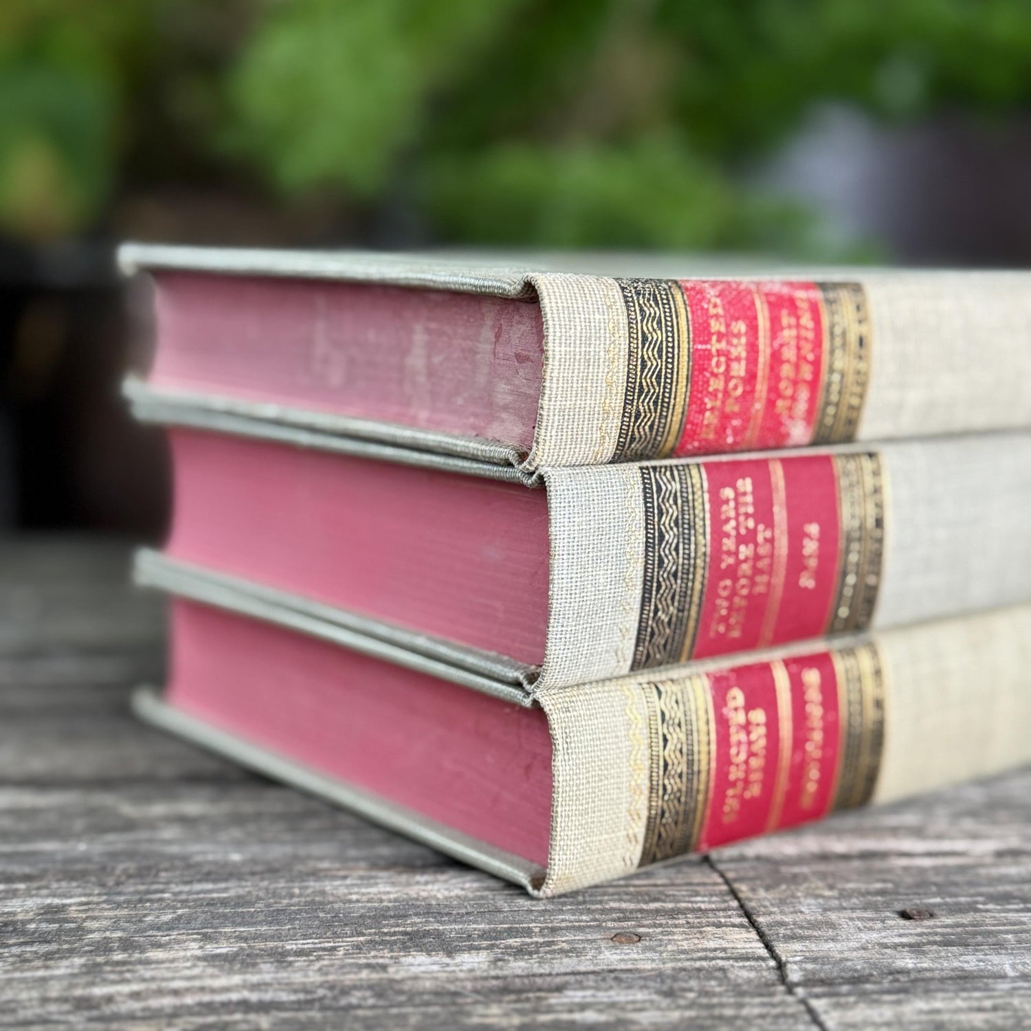 Vintage Classics Club Books, Montaigne, Robert Browning, Dana - Pretty Old Books