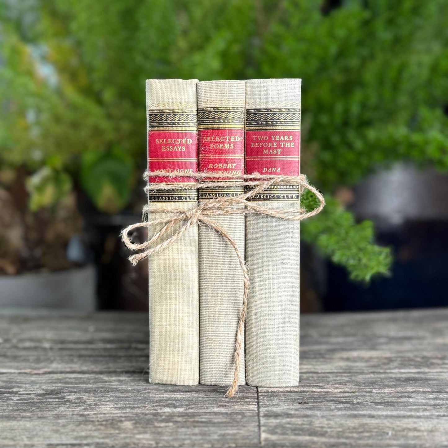 Vintage Classics Club Books, Montaigne, Robert Browning, Dana - Pretty Old Books