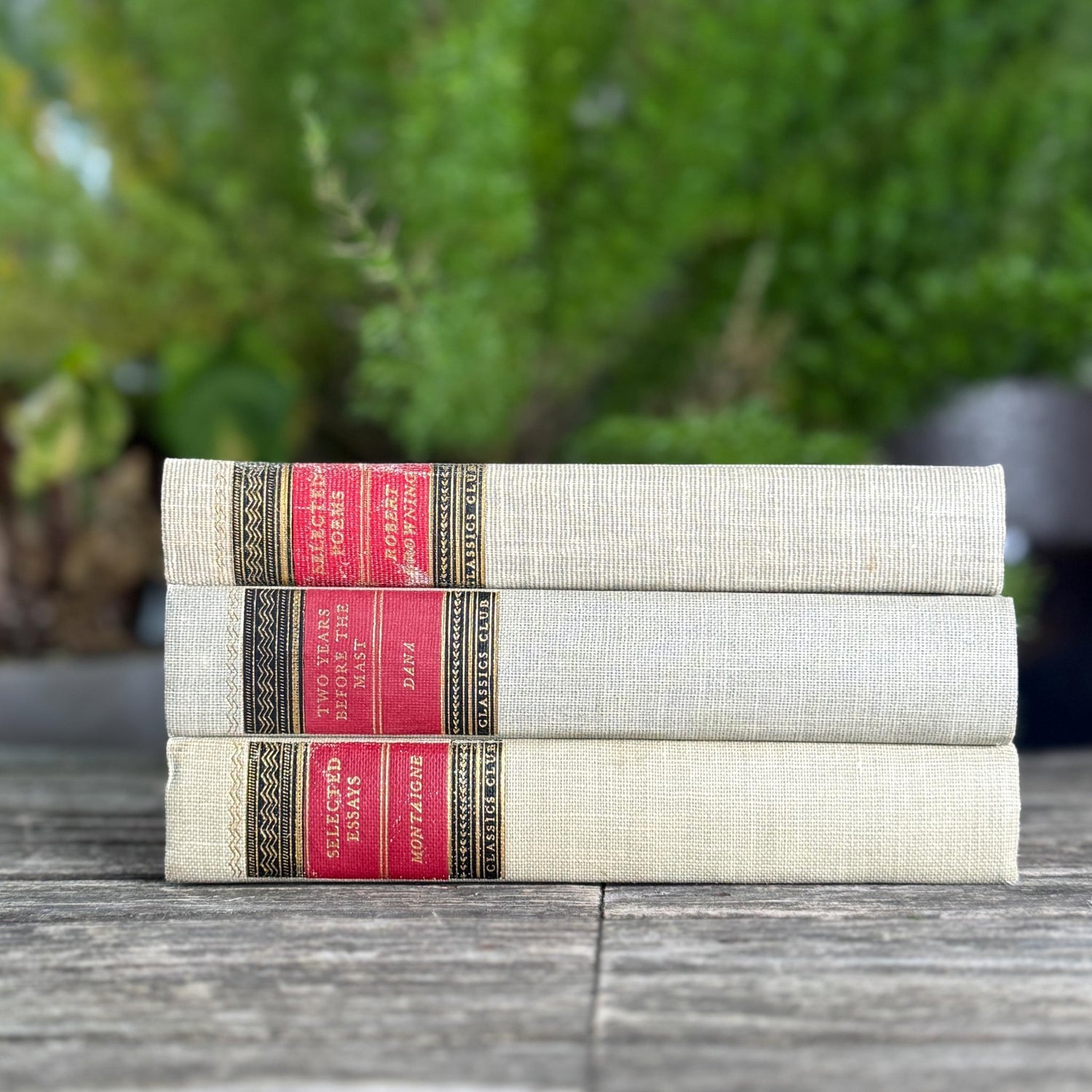 Vintage Classics Club Books, Montaigne, Robert Browning, Dana - Pretty Old Books