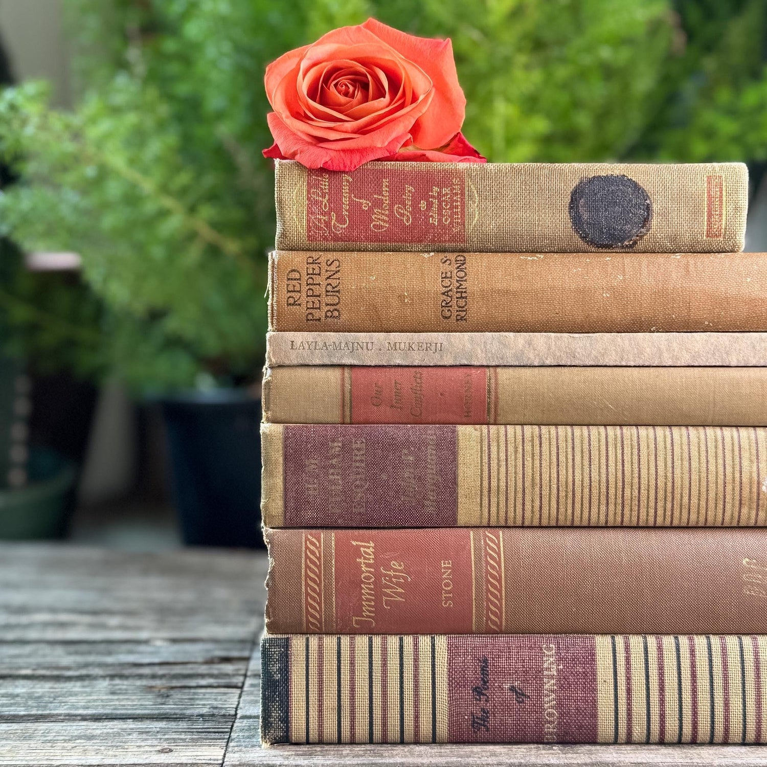 Vintage Copper, Tan, Brown, and Red Books for Decor - Pretty Old Books