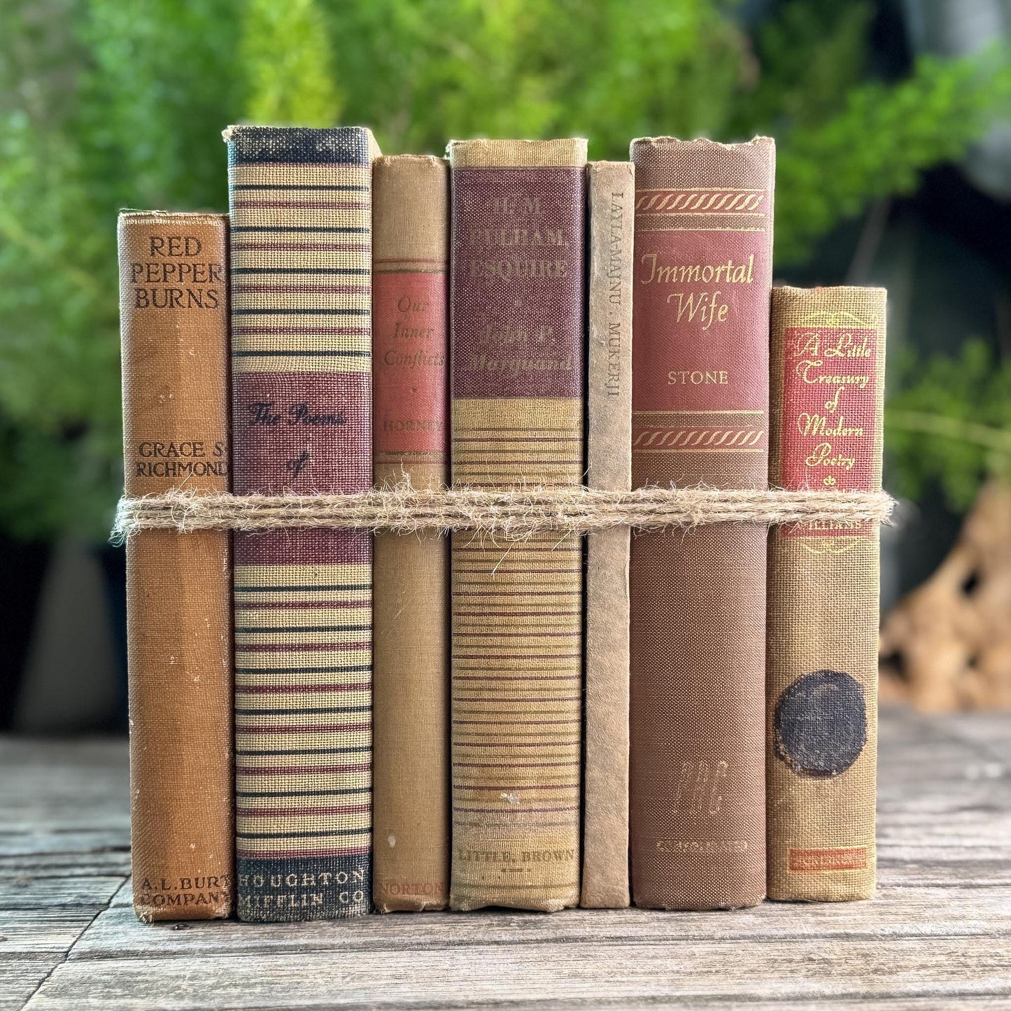 Vintage Copper, Tan, Brown, and Red Books for Decor - Pretty Old Books