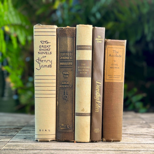 Vintage Cream, Taupe, and Chocolate Brown Masculine Mid Century Book Set - Pretty Old Books