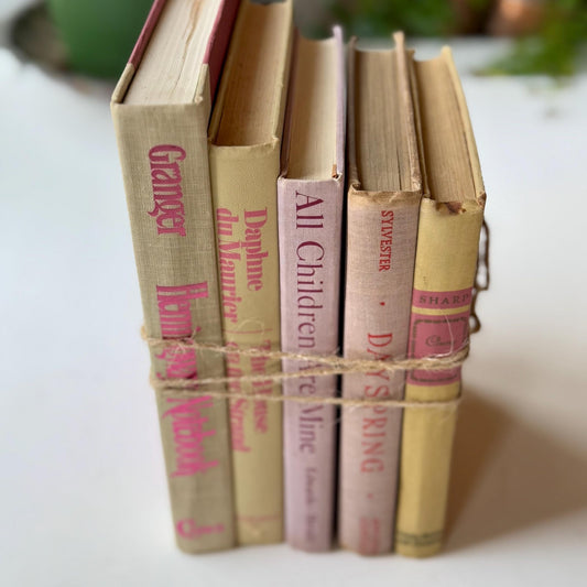 Vintage Decorative Pink and Purple Book Set for Shelf Styling - Pretty Old Books